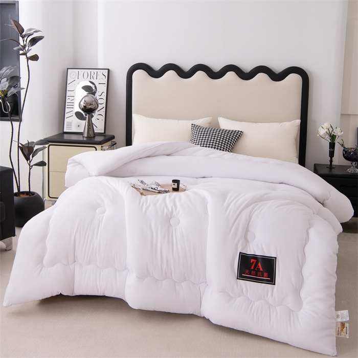 91家纺网 家纺一手货源 找家纺 瑶瑶家居床垫 2025新款7A抗菌被大豆被子被芯（黑标7A） 黑标7A-白