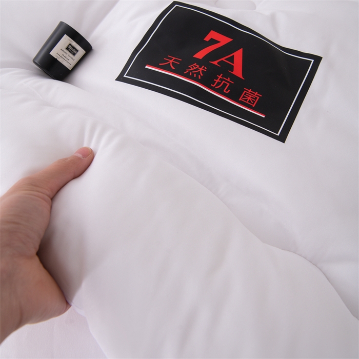 91家纺网 家纺一手货源 找家纺 （总）瑶瑶家居床垫 2025新款7A抗菌被大豆被子被芯（黑标7A）