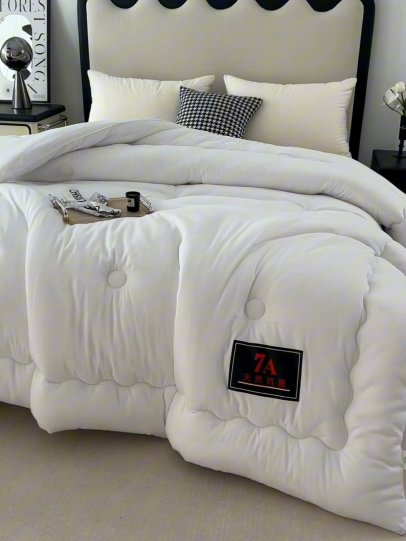 91家纺网 家纺一手货源 找家纺 瑶瑶家居床垫 2025新款7A抗菌被大豆被子被芯（黑标7A） 黑标7A-白