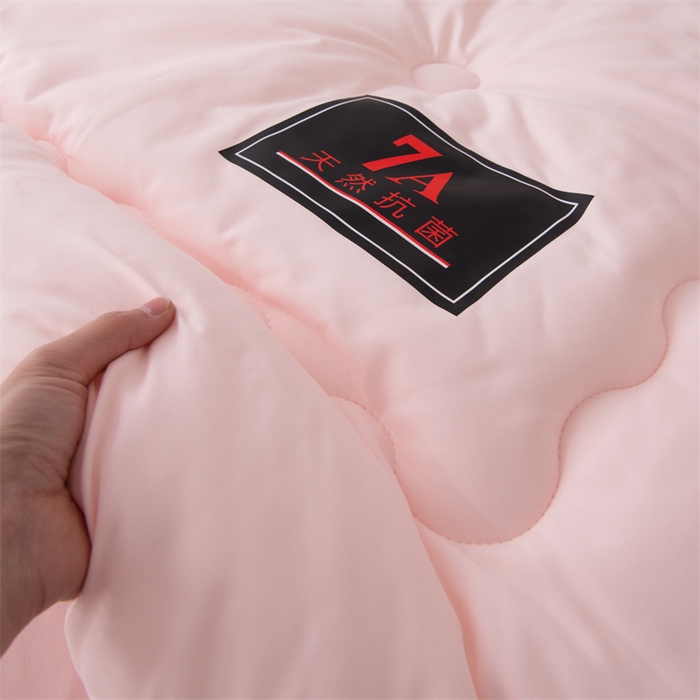 91家纺网 家纺一手货源 找家纺 瑶瑶家居床垫 2025新款7A抗菌被大豆被子被芯（黑标7A） 黑标7A-粉