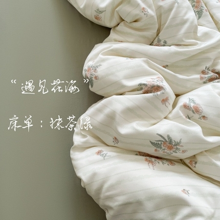 91家纺网 家纺一手货源 找家纺 （总）仟网汇 2025新款有氧针织棉双层纱系列四件套-床拍