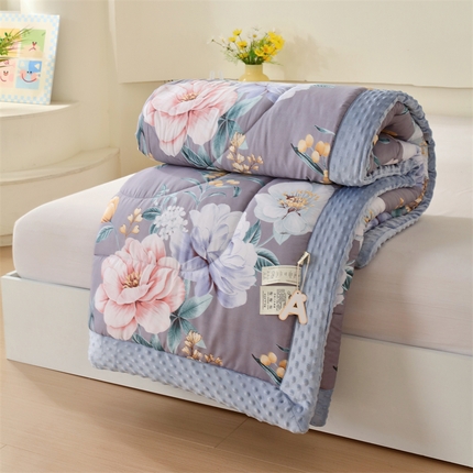 云家 2025新款豆豆绒被子被芯夏凉被空调被四季被 锦上添花