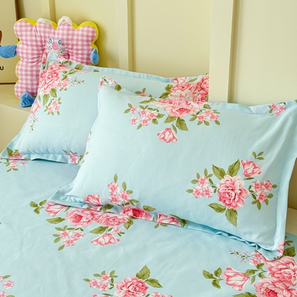 绒裕家纺 2025新款植物羊绒直播热款130克加厚磨毛单品枕套系列 诗语