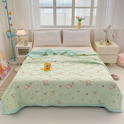 悦织湾2025新款亲肤水洗棉夏被印花纯色升级版芦荟棉夏凉被空调被跑量款 印花-蜜桃世界