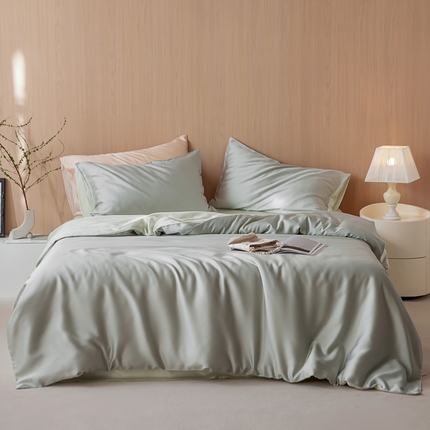 简纯主义 2025新款60兰精天丝拼色纯色四件套 豚草