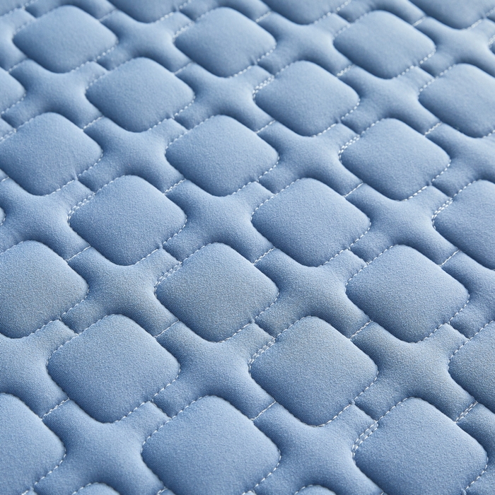 91家纺网 家纺一手货源 找家纺 祁恋婷家居 2025新款A类牛奶丝棉花抗压床垫【床垫遮盖物】 单边四菱格蓝