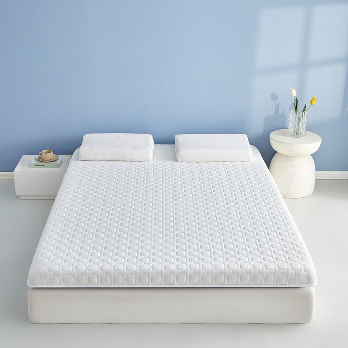 91家纺网 家纺一手货源 找家纺 祁恋婷家居 2025新款A类牛奶丝棉花抗压床垫【床垫遮盖物】 单边四菱格白