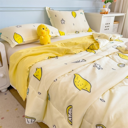 91家纺网 家纺一手货源 找家纺 （总）兄弟坊 2025新款水洗棉印花夏被夏凉被