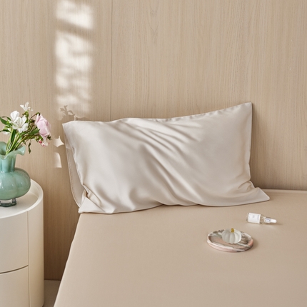 简纯主义 2025新款60s纯色天丝单品枕套系列 麦秆灰