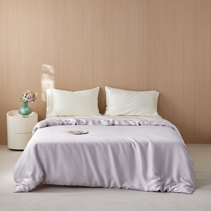 简约主义 2025新款60s纯色天丝单品被套系列 天空之城