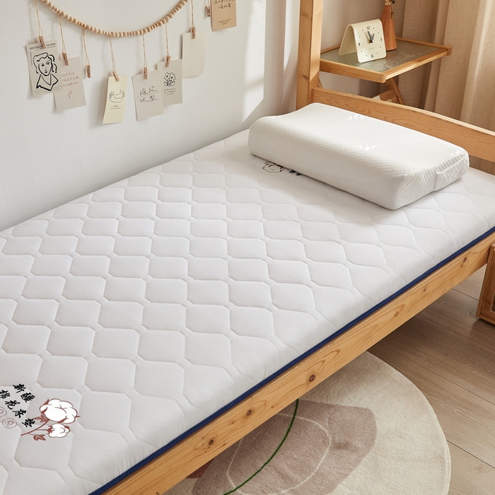 91家纺网 家纺一手货源 找家纺 招财狼家纺 2025新款水洗磨毛学生棉花海绵床垫-学生单边款 纯色棉花-极光白-厚度5cm