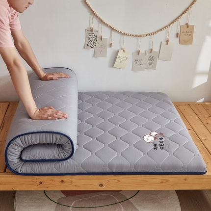 91家纺网 家纺一手货源 找家纺 （总）羽涵家纺 2025新款水洗磨毛学生棉花海绵床垫-学生单边款