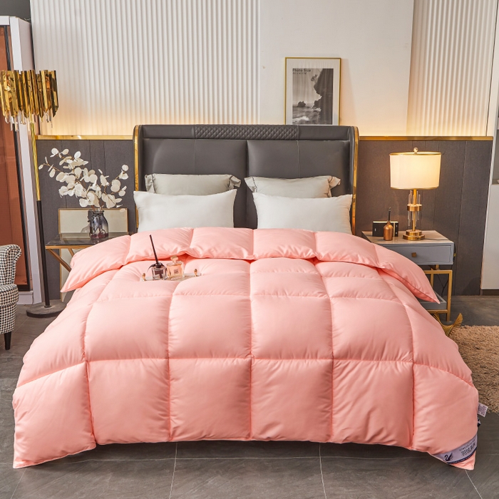 91家纺网 家纺一手货源 找家纺 招财星2店仓储 2025新款被子斜纹防羽布冬被春秋被被羽丝棉被 香槟玉