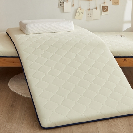 91家纺网 家纺一手货源 找家纺 （总）羽涵家纺 2025磨毛彩虹绵印花记忆海绵床垫-学生单边款