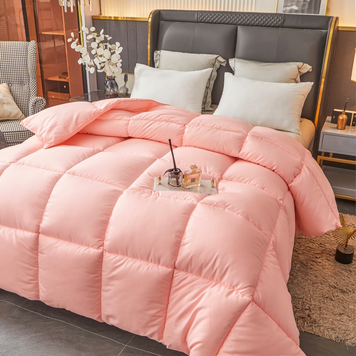 91家纺网 家纺一手货源 找家纺 招财星2店仓储 2025新款秋冬直播带货被子斜纹防羽布冬被春秋被被羽丝棉被 香槟玉