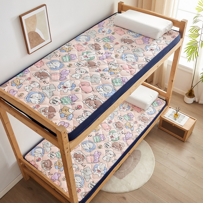 91家纺网 家纺一手货源 找家纺 （总）招财狼家纺 2025新款磨毛彩虹绵印花记忆海绵床垫-学生立体款