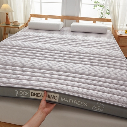 91家纺网 家纺一手货源 找家纺 （总）招财狼家纺 2025新款华夫格提花记忆海绵床垫-成人立体款