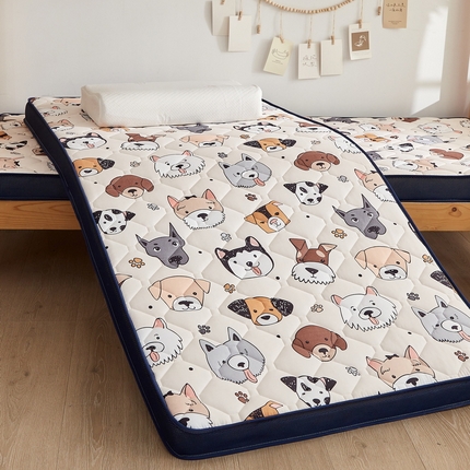 91家纺网 家纺一手货源 找家纺 （总）羽涵家纺 2025磨毛彩虹绵印花记忆海绵床垫-学生立体款