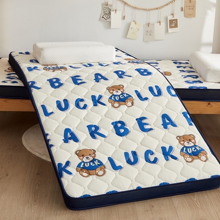 91家纺网 家纺一手货源 找家纺 （总）羽涵家纺 2025磨毛彩虹绵印花记忆海绵床垫-学生立体款