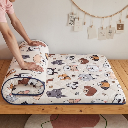 91家纺网 家纺一手货源 找家纺 （总）招财狼家纺 2025新款磨毛彩虹绵印花记忆海绵床垫-学生单边款