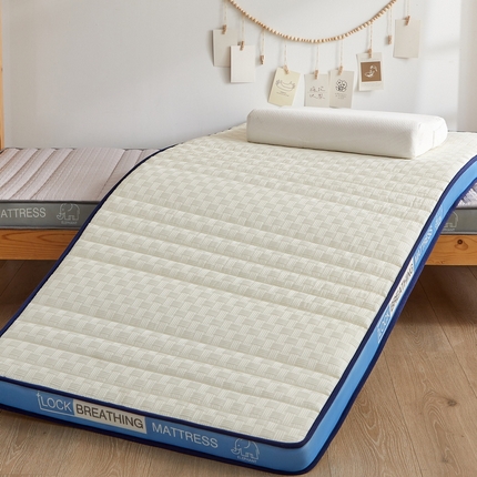 91家纺网 家纺一手货源 找家纺 （总）招财狼家纺 2025新款华夫格提花记忆海绵床垫-学生立体款