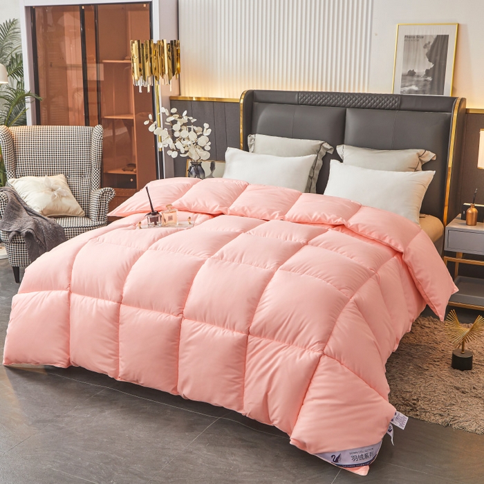 91家纺网 家纺一手货源 找家纺 招财星2店仓储 2025新款秋冬直播带货被子斜纹防羽布冬被春秋被被羽丝棉被 香槟玉