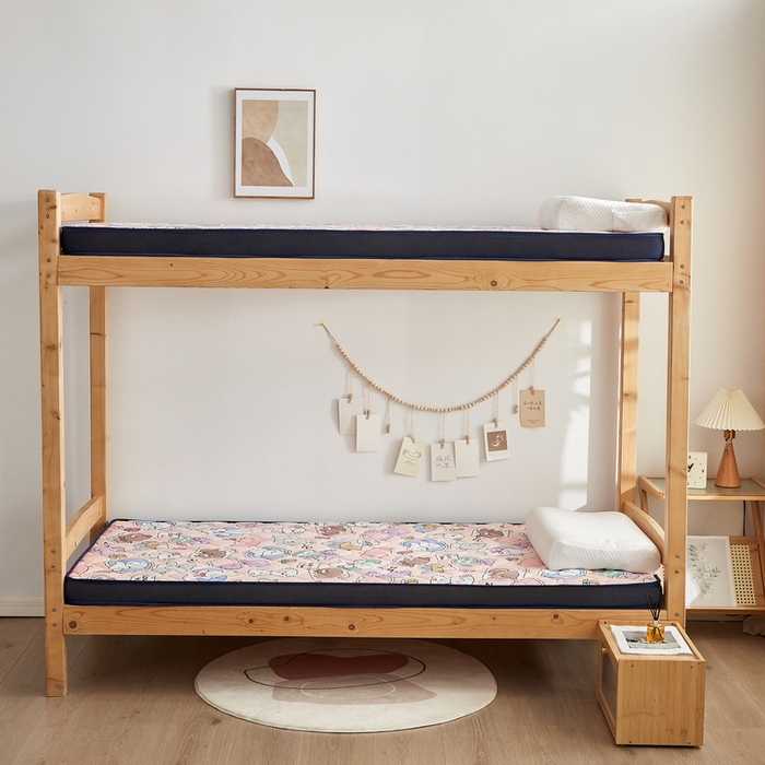 91家纺网 家纺一手货源 找家纺 （总）招财狼家纺 2025新款磨毛彩虹绵印花记忆海绵床垫-学生立体款