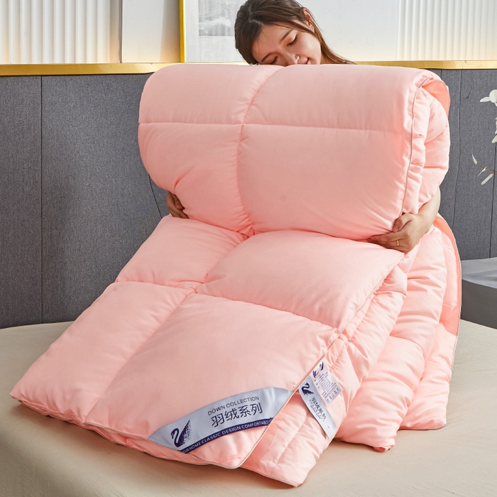 91家纺网 家纺一手货源 找家纺 招财星2店仓储 2025新款秋冬直播带货被子斜纹防羽布冬被春秋被被羽丝棉被 香槟玉