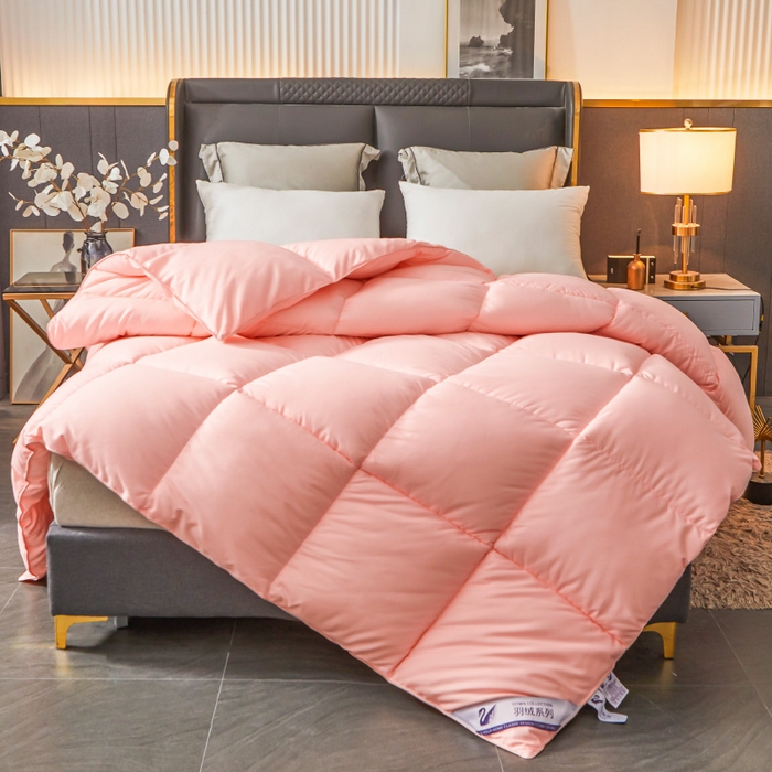 91家纺网 家纺一手货源 找家纺 招财星2店仓储 2025新款被子斜纹防羽布冬被春秋被被羽丝棉被 香槟玉