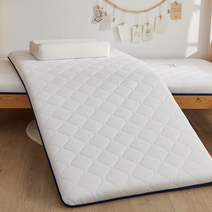 91家纺网 家纺一手货源 找家纺 （总）招财狼家纺 2025新款磨毛彩虹绵印花记忆海绵床垫-学生单边款