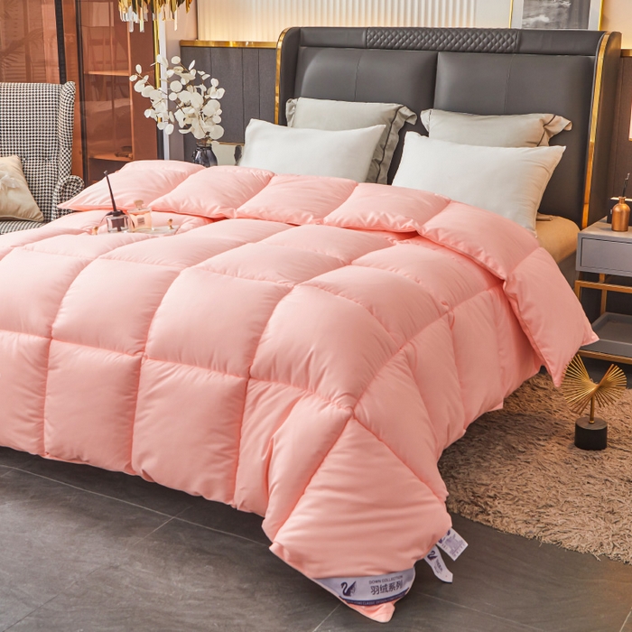 91家纺网 家纺一手货源 找家纺 招财星2店仓储 2025新款秋冬直播带货被子斜纹防羽布冬被春秋被被羽丝棉被 香槟玉