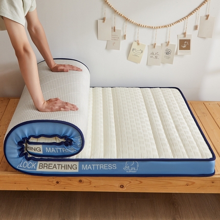 91家纺网 家纺一手货源 找家纺 （总）招财狼家纺 2025新款华夫格提花记忆海绵床垫-学生立体款