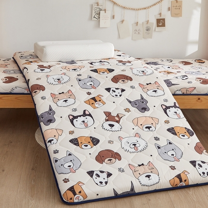 91家纺网 家纺一手货源 找家纺 （总）招财狼家纺 2025新款磨毛彩虹绵印花记忆海绵床垫-学生单边款