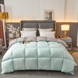 91家纺网 家纺一手货源 找家纺 招财星2店仓储 2025新款被子斜纹防羽布冬被春秋被被羽丝棉被 艾绿灰,艾绿灰