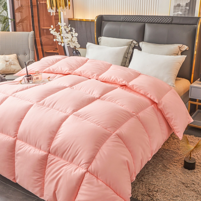 91家纺网 家纺一手货源 找家纺 招财星2店仓储 2025新款秋冬直播带货被子斜纹防羽布冬被春秋被被羽丝棉被 香槟玉