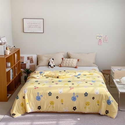 91家纺网 家纺一手货源 找家纺 （总）2025新款A类针织棉被芯夏凉被春秋被冬被儿童学生成人冬被加厚被子大豆被—影棚图