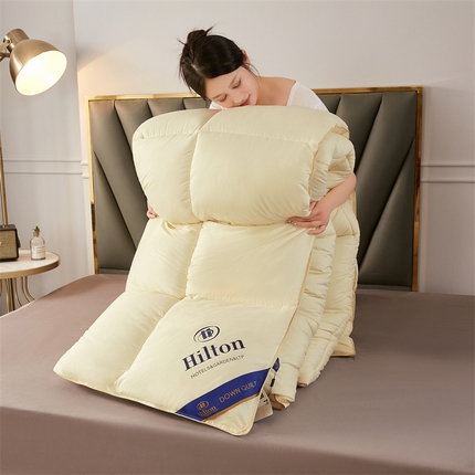 91家纺网 家纺一手货源 找家纺 招财星2店仓储 2025新款款全棉防羽布希尔顿被 米黄色