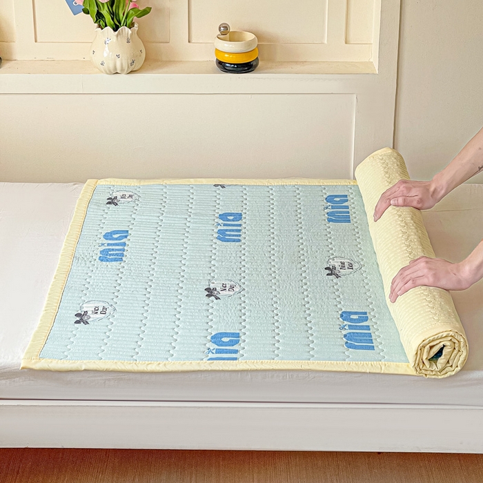 91家纺网 家纺一手货源 找家纺 罗亿家纺  2025新款宿舍款-水洗棉夹棉床盖 蓝莓梨子