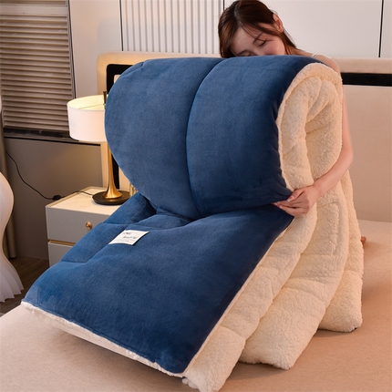 91家纺网 家纺一手货源 找家纺 （总）买家秀 爆款不断货）A类羊羔绒被子被芯牛奶绒被子被芯春秋被秋冬被塔芙绒被子被芯雪花绒被子北极绒冬被H