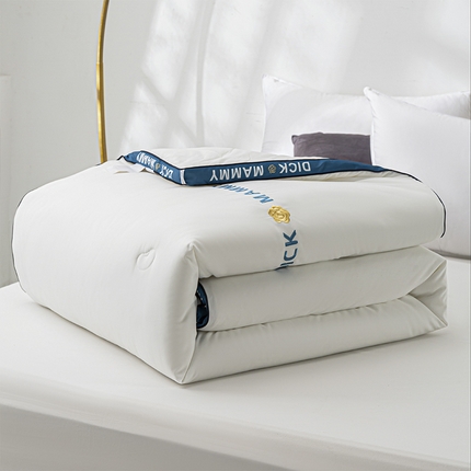 91家纺网 家纺一手货源 找家纺 （总）（买家秀 热款花色不断货）A类母婴级大豆被立体边刺绣春秋冬被大豆纤维被空调被纯色被子大豆被芯-场景1