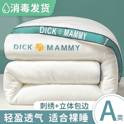 91家纺网 家纺一手货源 找家纺 （买家秀 热款花色不断货）A类母婴级大豆被立体边刺绣春秋冬被大豆纤维被空调被纯色被子大豆被芯-场景1 展示图