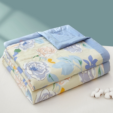 91家纺网 家纺一手货源 找家纺 黛妮雅 2025新款里外全棉印花棉花被纯棉夏被夏凉被空调被 夏被四件套 北国之春