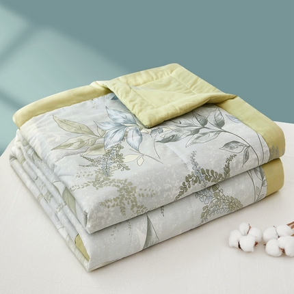 91家纺网 家纺一手货源 找家纺 黛妮雅 2025新款里外全棉印花棉花被纯棉夏被夏凉被空调被 夏被四件套 秋海棠