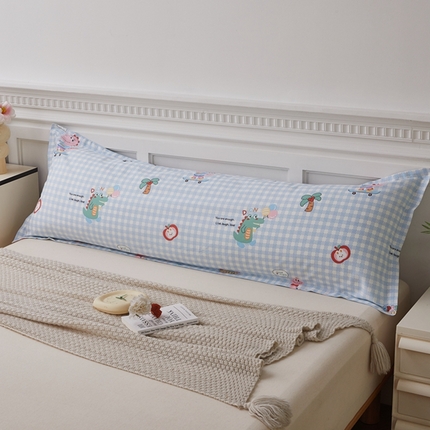 翎盈家纺 2025新款纯棉小清新双人枕套 大眼恐龙-蓝