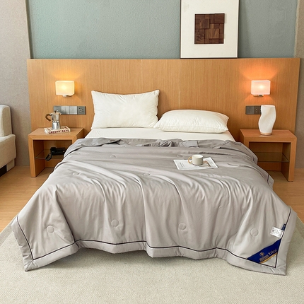 招财星家纺 2025新款希尔顿酒店款大豆被夏被空调被夏凉被 星灰