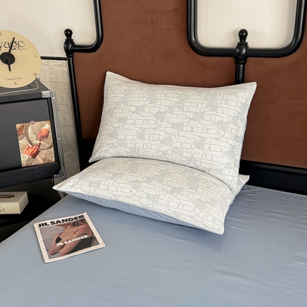 眠博士2025新款AB版简约时尚A类全棉三层纱系列单枕套 三层纱-翠竹-蓝