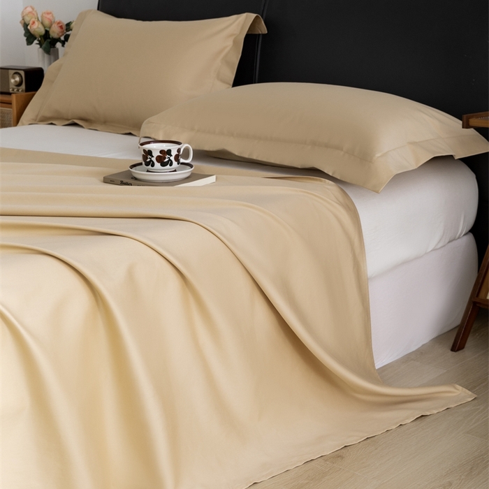 91家纺网 家纺一手货源 找家纺 宝时兰 2025新款100支新疆长绒棉单品床单全棉枕套纯棉三件套 香槟金