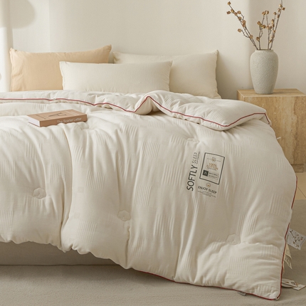 91家纺网 家纺一手货源 找家纺 （总）莱登卡奴 25新款全棉A类水洗棉提花100%棉花被春秋被