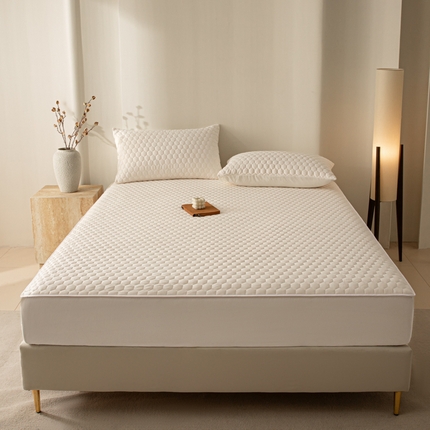 优悦生活馆 2025新款亲肤水洗棉夹棉防水床笠 方格-白