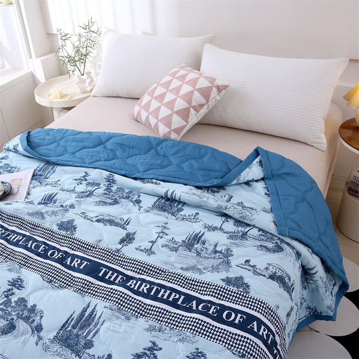 91家纺网 家纺一手货源 找家纺 爱派  2025新款直播爆款印花水洗棉夏被夏凉被空调被被子被芯 古典小镇